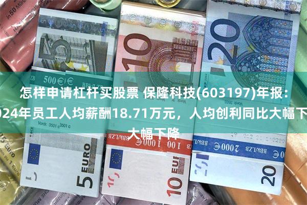 怎样申请杠杆买股票 保隆科技(603197)年报：2024年员工人均薪酬18.71万元，人均创利同比大幅下降