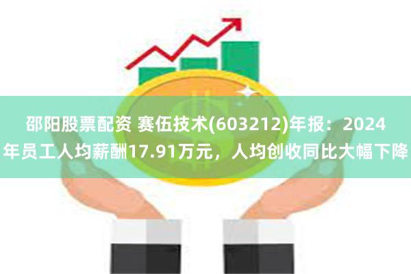 邵阳股票配资 赛伍技术(603212)年报：2024年员工人均薪酬17.91万元，人均创收同比大幅下降