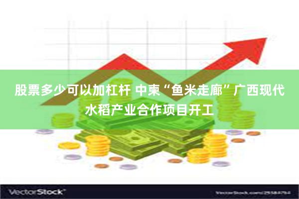 股票多少可以加杠杆 中柬“鱼米走廊”广西现代水稻产业合作项目开工