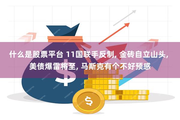 什么是股票平台 11国联手反制, 金砖自立山头, 美债爆雷将至, 马斯克有个不好预感