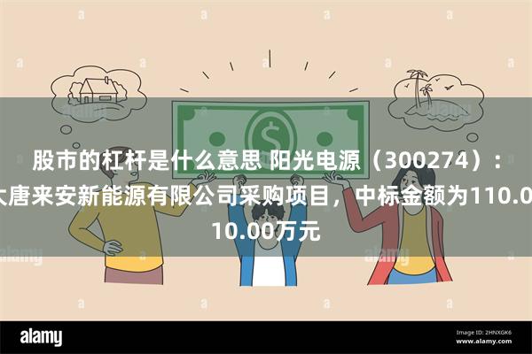 股市的杠杆是什么意思 阳光电源（300274）：中标大唐来安新能源有限公司采购项目，中标金额为110.00万元