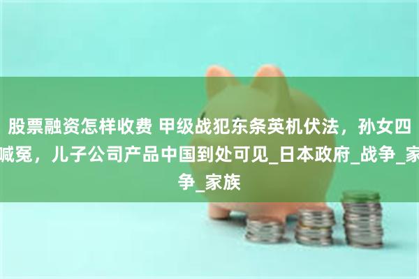 股票融资怎样收费 甲级战犯东条英机伏法，孙女四处喊冤，儿子公司产品中国到处可见_日本政府_战争_家族