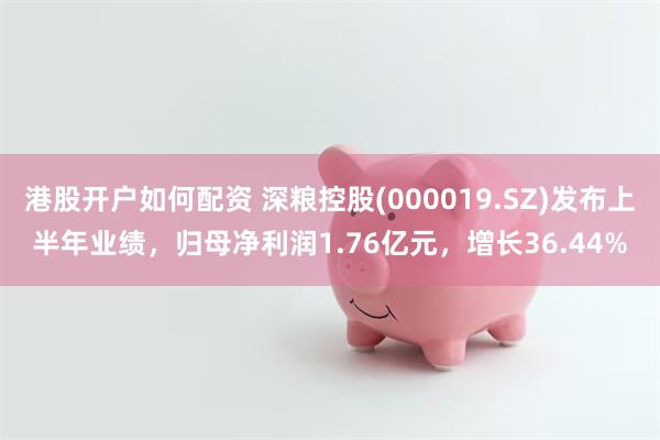 港股开户如何配资 深粮控股(000019.SZ)发布上半年业绩，归母净利润1.76亿元，增长36.44%