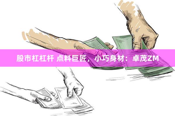 股市杠杠杆 点料巨匠，小巧身材：卓茂ZM
