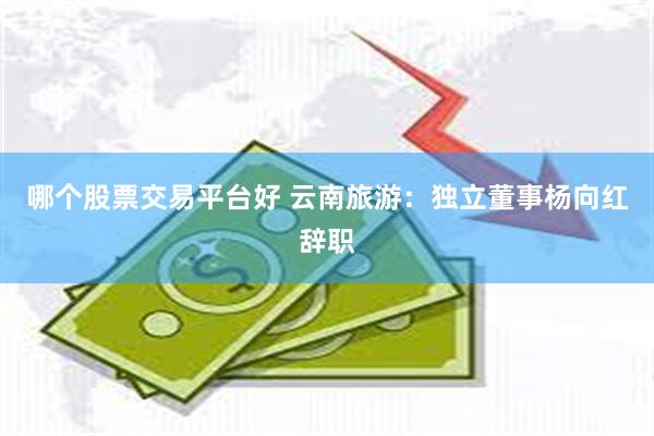 哪个股票交易平台好 云南旅游：独立董事杨向红辞职